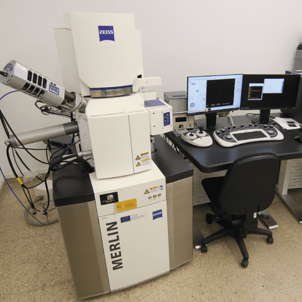 Microscopio SEM Zeiss Merlin
