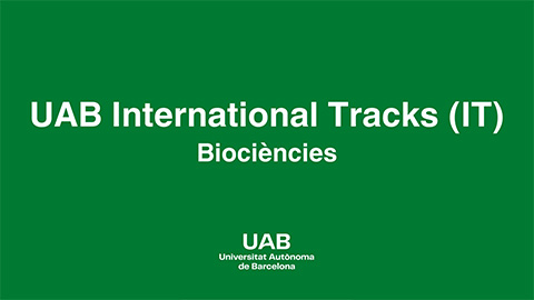 Vídeo testimonial International Tracks